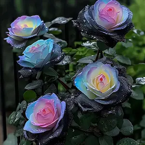 100+ Rare Rose Seeds Mixture Color for Planting - Rare Striking Beautiful Stripe Rose Bush Plant for Garden Yard