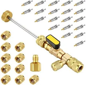 WADEO Valve Core Remover Tool HVAC with Dual Size SAE 1/4 & 5/16 Port, 20 PCS Valve Cores with Teflon Seal, 5 PCS Brass Nuts and Valve Core Rod, Compatible with R410A R32 R22 R12 R407 R404 R600