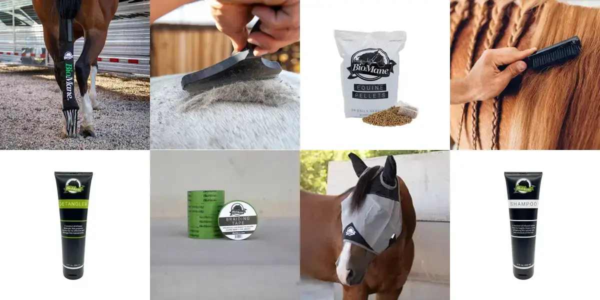 background preload poster image 