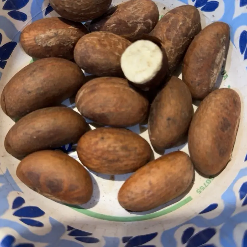 Best Nigeria bitter kola nut (14pcs per pack). No refund