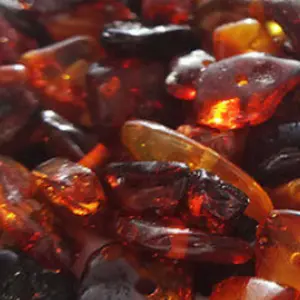 Baltic Amber Tumbled AA