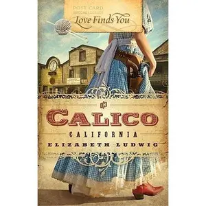 USED-Love Finds You in Calico, California by Elizabeth Ludwig (Paperback)