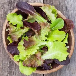 TomorrowSeeds - Gourmet Mix Lettuce Greens Seeds -  Garden Vegetable Planting Spring Mix Spinach Arugula Salad Kale Seed Non GMO 2024