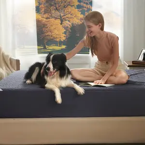 【BEDLORE】Big Copper Coin Pattern Waterproof Mattress Cover with Fitted Sheet, Soft & Breathable Non-Slip Design, Deep Pocket Fit for Bedroom & Home Use