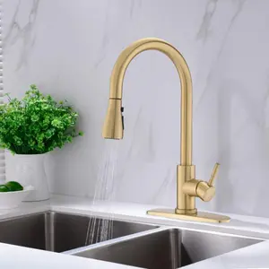 Brushed Gold Pull-Down Brushed Kitchen Tap - Budget-Friendly Kitchen Renovation Fixture for Adding Luxury Look Without High Counter Replacement Costs, Brushed Kitchen Taps