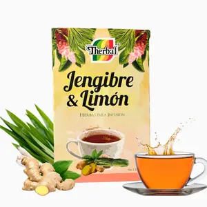 THERBAL Organic Ginger Lemon Herbal Green Tea (20 Tea Bags) - 24-Month Shelf Life, Healthy Drink for Flu & Cold Relief, Immune Support, Herbal Tea