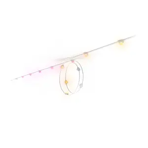 Hue White and color ambiance Festavia permanent outdoor lights 90 ft white string