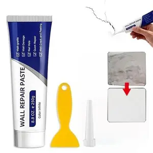 Drywall Patch Repair Kit 250g Wall Mending Agent Multi-functional Quick-drying Paste Adhesive Heavy Duty Concrete Sealant Waterproof Self-adhesive