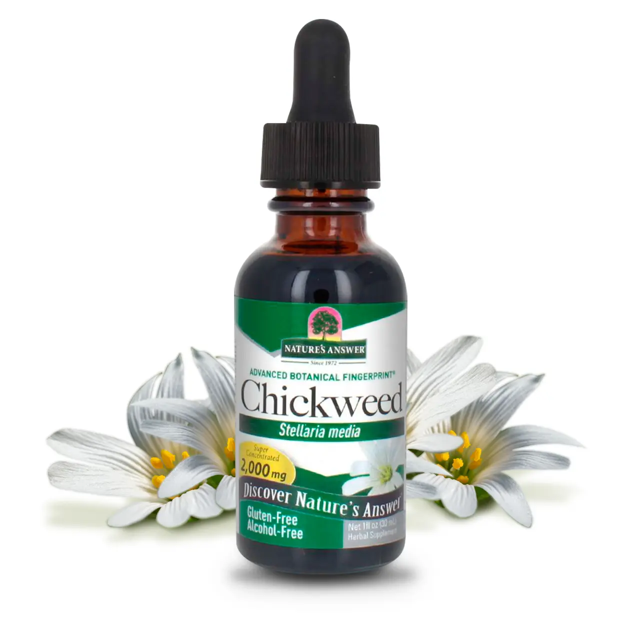 Nature's Answer Alcohol-Free Chickweed Stelleria Media 2000mg 1oz Extract | Herbal Supplement | Promotes Digestion | Non GMO, Kosher, Gluten Free , Vegan | Single Count Healthcare Edible Dietary