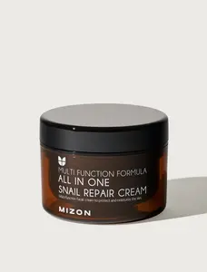 Mizon All in One Snail Repair Cream 120ml