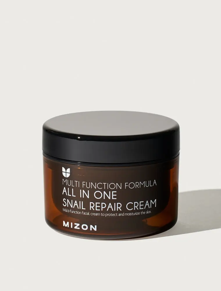 Mizon All in One Snail Repair Cream 120ml