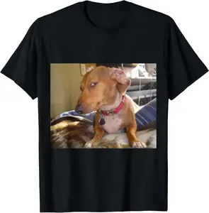 Bombastic Side Eye Funny Dog T-Shirt for Men Women. Pure Cotton Graphic Tees Menswear Top: Gifts for Men & Women