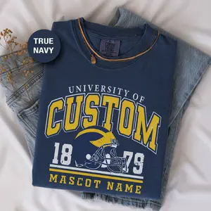 Personalized University T-Shirt - Vintage Collegiate Shirt With Custom Mascot Tee