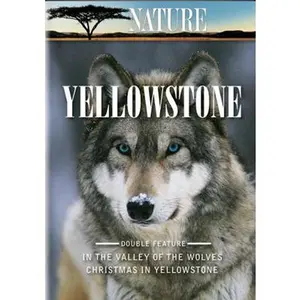 USED-Nature: Yellowstone (DVD)