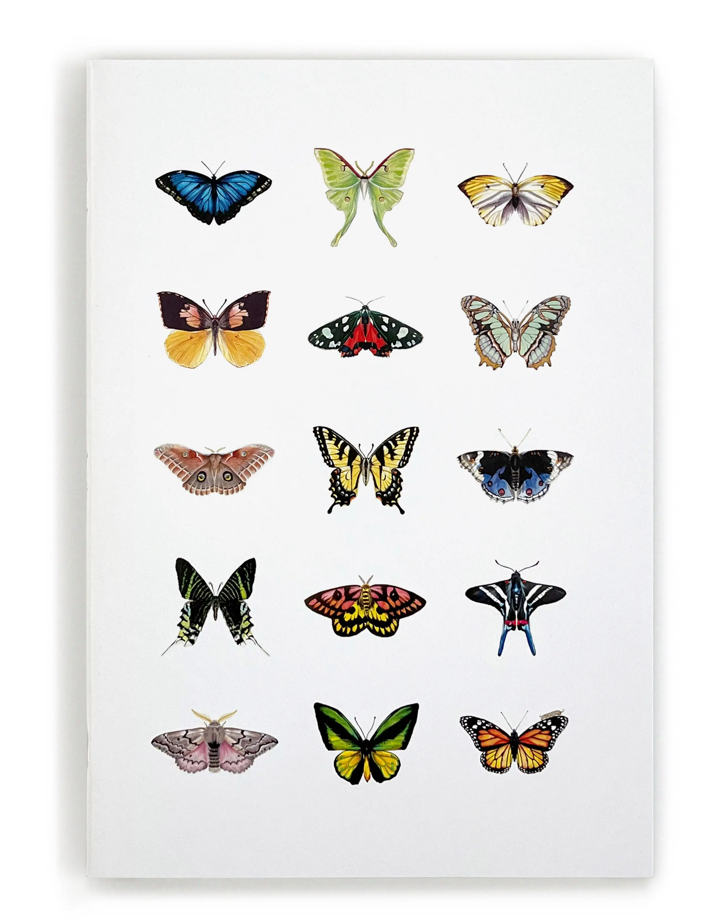 Winged Things 2 Notebook