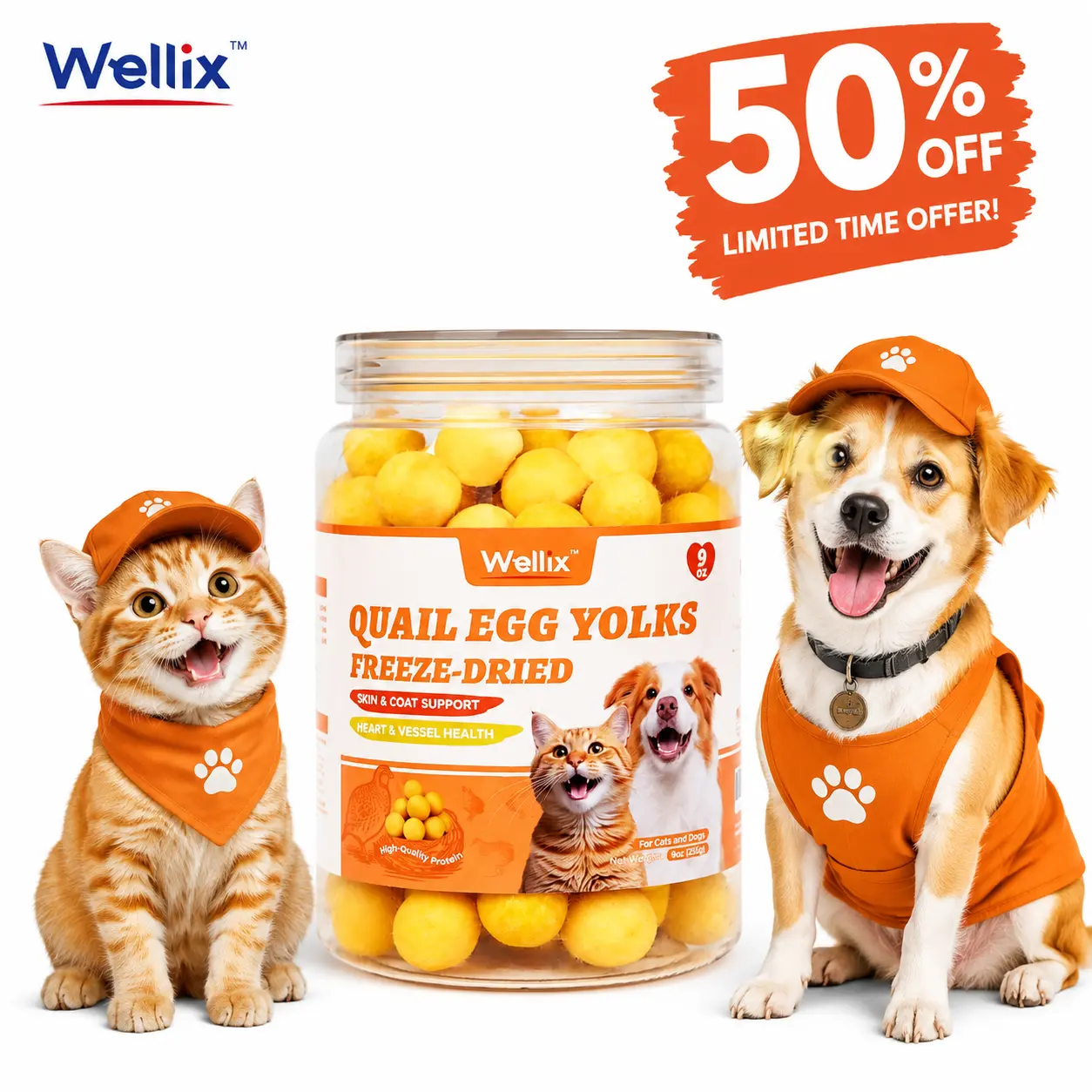 Wellix Freeze Dried Quail Egg Yolks for Dogs & Cats High-Protein Treats Supports Skin Coat Health Natural Training Snacks
