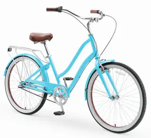 EVRY journey  Steel Bicycle