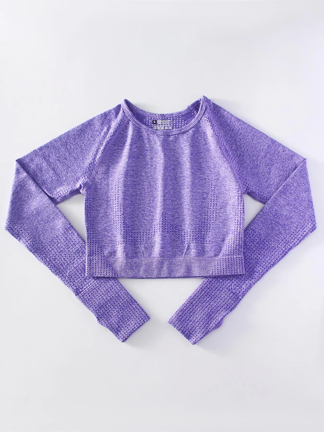 Women's Plain Round Neck Crop Sports T-shirt without Leggings, Sporty Seamless Long Sleeves Crop Top, Women Yoga Sports Fitness Gym Cloth Workout Top