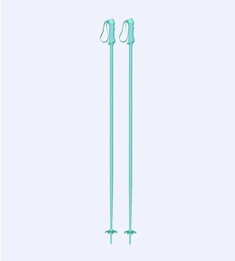 Bluebird Ski Poles