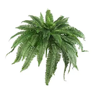 Nearly Natural 48" Boston Fern Set of 2