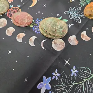 Natural Abolone Shells