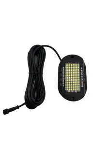 144 LED White P&P Rock Light