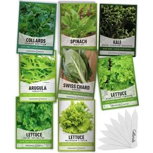 Leafy Green Salad Seeds | 8 Variety Pack