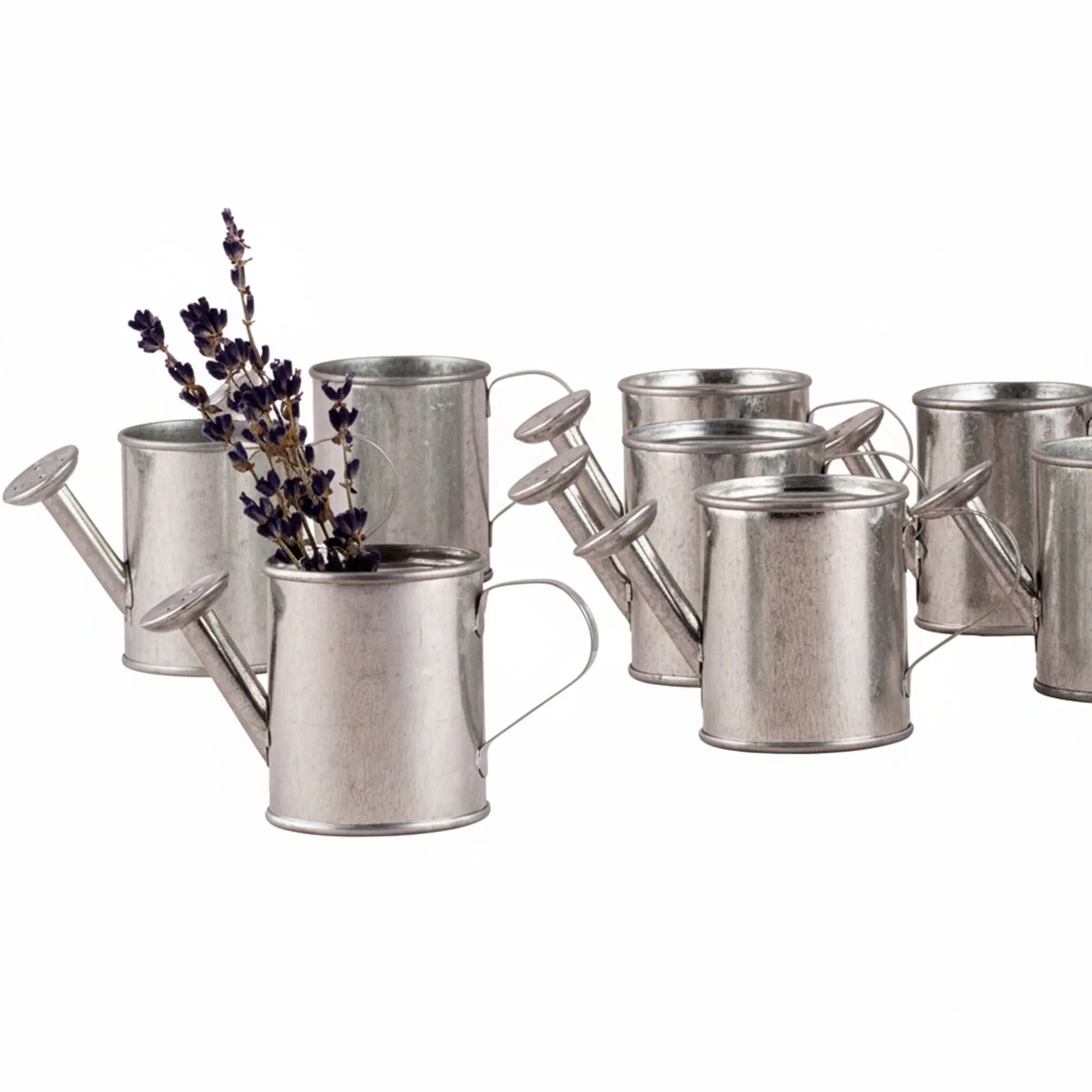 Mini Watering Cans (Set Of 12) Mini Watering Cans (Set Of 12)