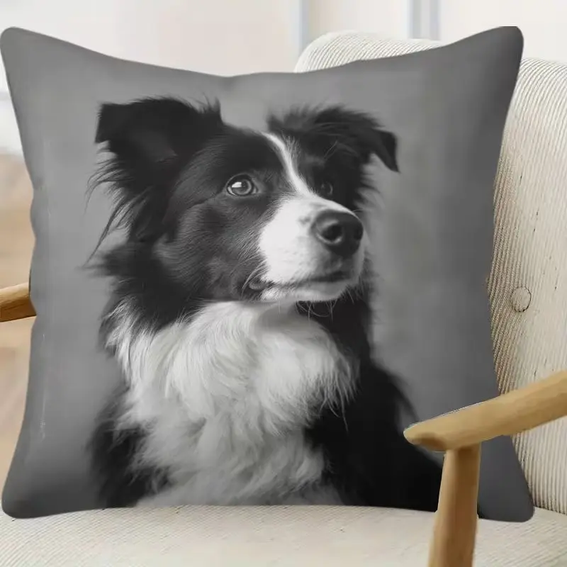 Ultra-Soft Short Plush Pillowcase with Border Collie Pattern, Anti-Allergy, Single-Sided 2D Print for Bedroom Decor