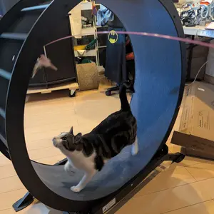 COMHOMA 40" Metal Frame Pet Exercise Wheel Complete Kit, Interactive Toy for Cats, Ultra-Quiet Roller with Lock for Safety, Removable Fleece Mat, Cat Treadmill