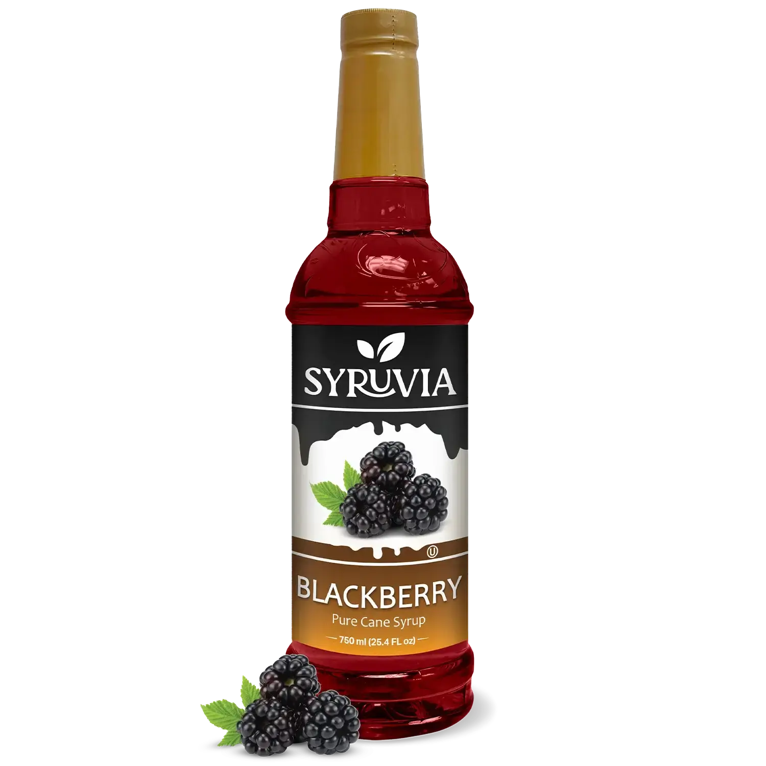 Blackberry Syrup
