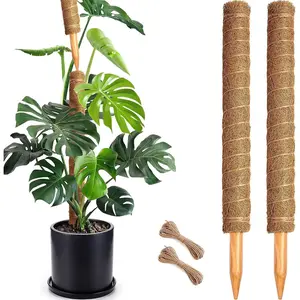2 Pack 22 Inch Stackable Moss Pole - Thick & Sturdy  Coir Totem  Support & Garden Stakes for Monstera & Pothos, Indoor Climbing Vining Houseplants, 38"H Max