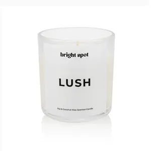 Lush Candle - Apricot & Coconut Wax Scented Candle with Cucumber Mint Cardamom Iris Violet Australian Sandalwood Cedarwood Warm Spices Leather Musk Spice