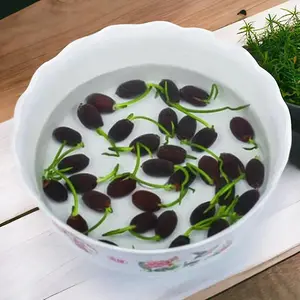 60 Pcs Bonsai Bowl Lotus Mini Seeds, Heirloom Aquatic Waterscape Plant Seed Indoor Balcony and Outdoor Garden Decor