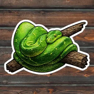 Green Tree Python Sticker