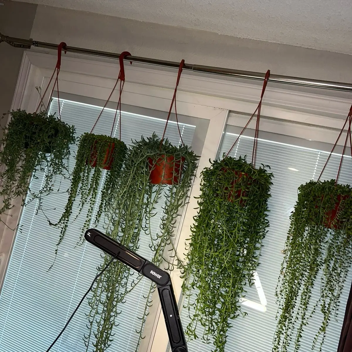 6’ string of things hanging bedroom Sculpture (6inch) 6’ string of things hanging bedroom Sculpture (6inch)