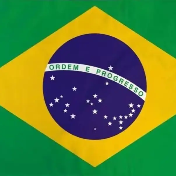 Brazil (Brazilian) Flag 75D printed Polyester 3x5 ft