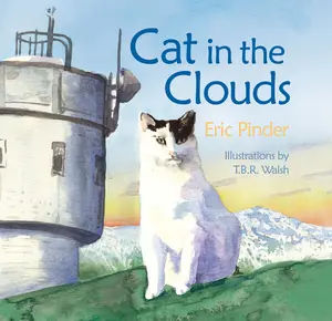 USED-Cat in the Clouds by Pinder, Eric (Hardcover)