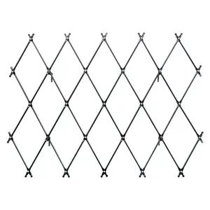 Wall-Mounted Lattice Garden Trellis