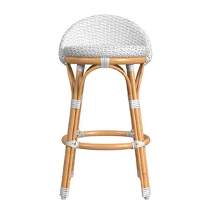 Tobias Outdoor Rattan and Metal Low Back Counter Stool