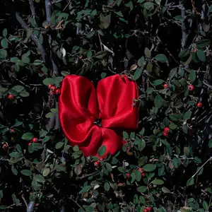 Valentine’s Day Heart Hair Tie, Satin Bow Scrunchie Gift for Girlfriend & Bestie