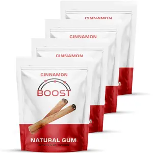 4 Pack Natural Cinnamon Gum | 56 Pieces