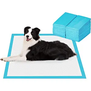 Basics Leak-Proof Dog and Puppy Potty Training Pee Pads with Quick-Dry 5-Layer Super Absorbent Surface for Dog Training, Floor Protection, Regular Size 24x24", Blue & White, 40 Count