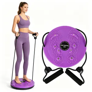 Waist Twisting Disc Fitness Equipment with Resistance Bands, Non-Slip Summer Workout Tool