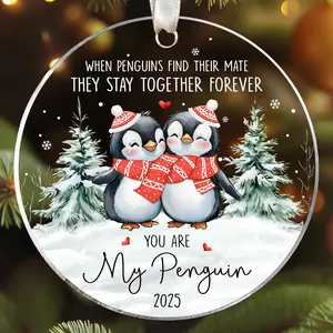 Couples Christmas Ornament - Couples Ornaments 2025 - Couple Ornaments for Him, Her, Boyfriend, Girlfriend, Husband, Wife - Gifts for Couple - Acrylic Hanging Ornament 2025