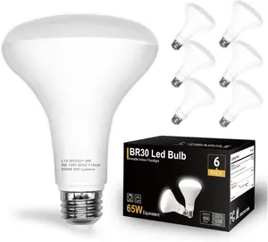 BR30 LED Light Bulbs Indoor Flood Light, 6Pack 5000K Daylight White LED Bulb 65W Equivalent, Dimmable, E26 Base, 800LM, Recessed Can Bulb for Living Room Bedroom Dining Room Bathroom