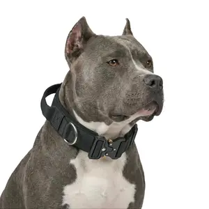 PawTactic Heavy Duty Dog Collar with Durable Metal Buckle, Adjustable Premium Nylon Training Pet Collar for Medium and Large Dogs, Outdoor Walking Gear