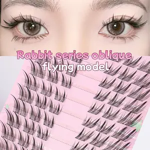 60 clusters of cat eye eyelashes, suitable for daily and office makeup, including eyelash clusters, individual eyelashes, and false eyelashes, Fluffy Eyelashes Cluster