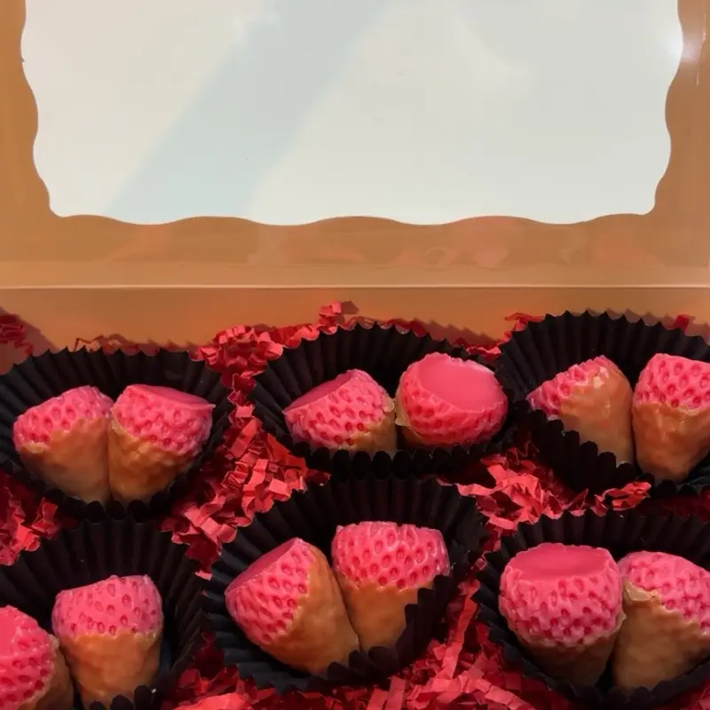 Chocolate Covered Strawberry Wax Melts - Strawberry Guava Scent - 100% Beeswax