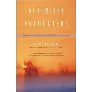USED-Afterlife Encounters: Ordinary People, Extraordinary Experiences by Arcangel, Dianne (Paperback)